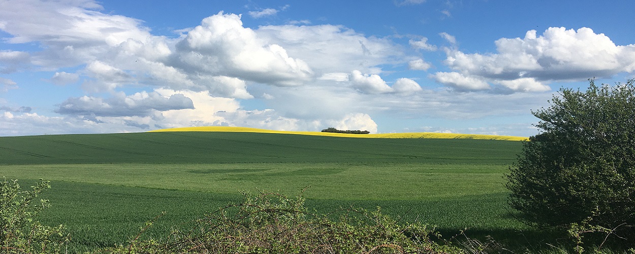 Baumaschinen und Gabelstapler in der Uckermark